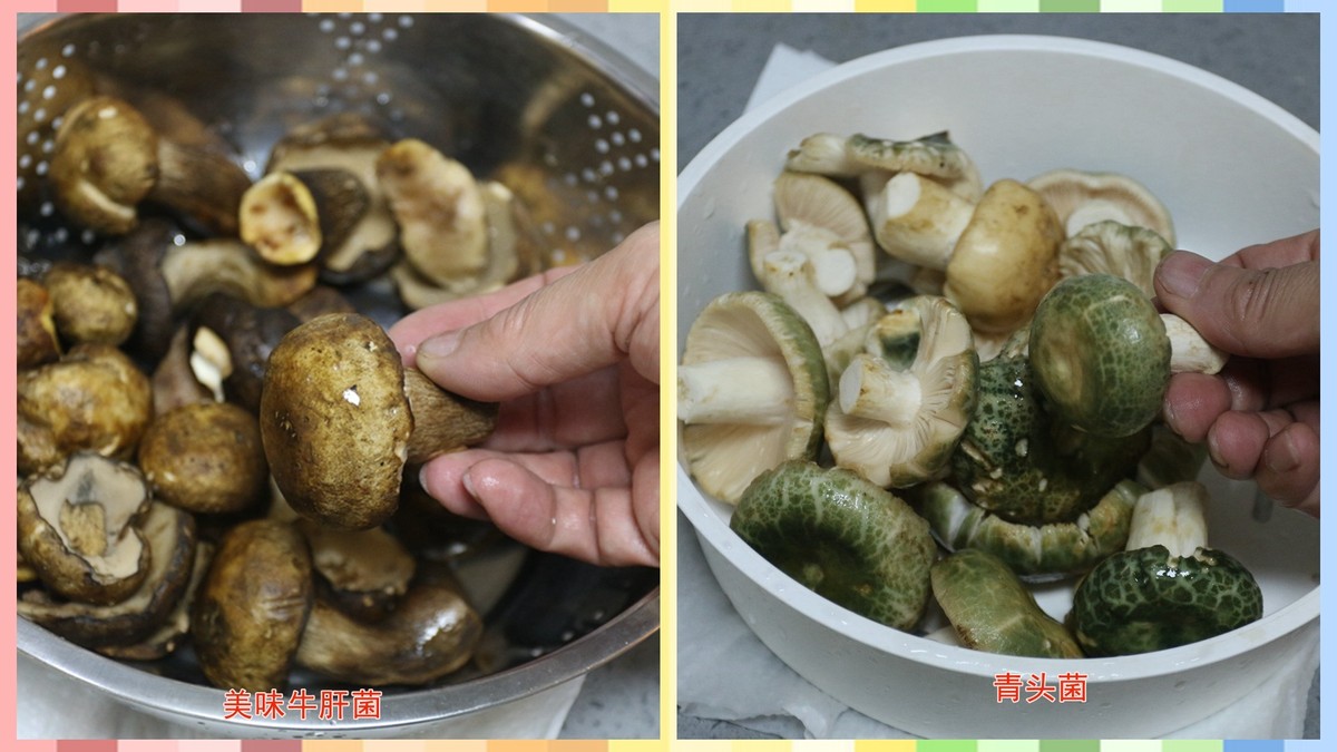 红伞伞遇上厚底锅 九阳晶钻，网友惊呼：不用躺板板