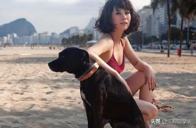 “海清”不姓海也不叫清，原名曝光后，网友：难怪和黄海波关系好