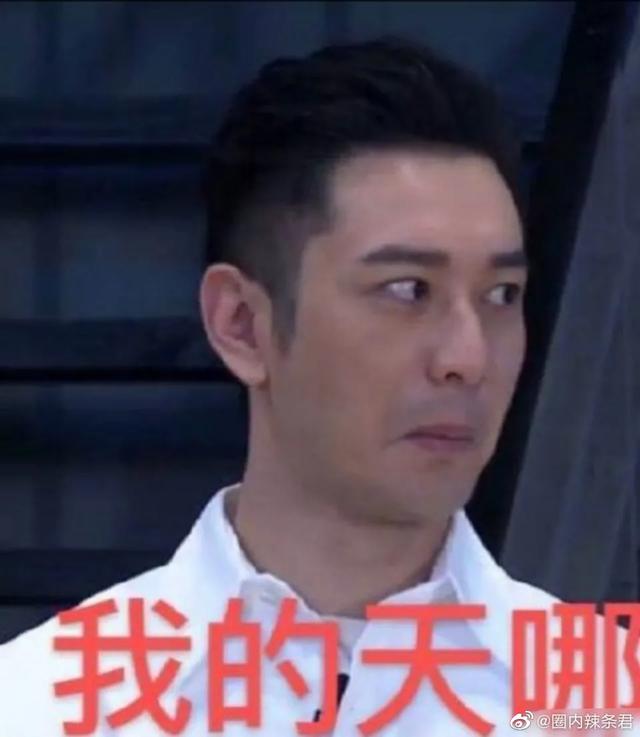 《乘风破浪的姐姐们》：宁静一个人就可以劝退女团发起人