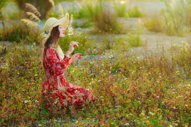 小白自媒体入门，简单易懂