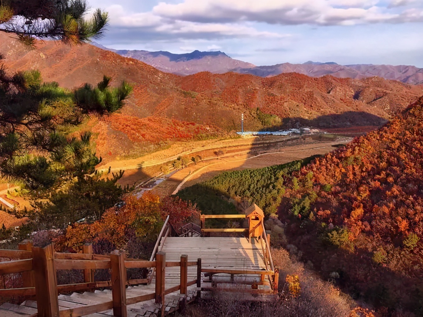 Missing these 14 maple viewing areas in November is equivalent to missing the entire autumn