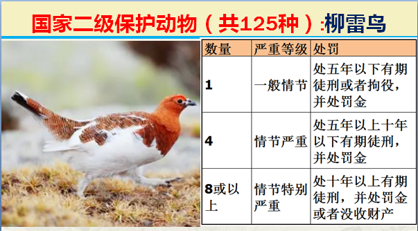 国家最新125类二级野生保护名录，图片及违法对应刑责