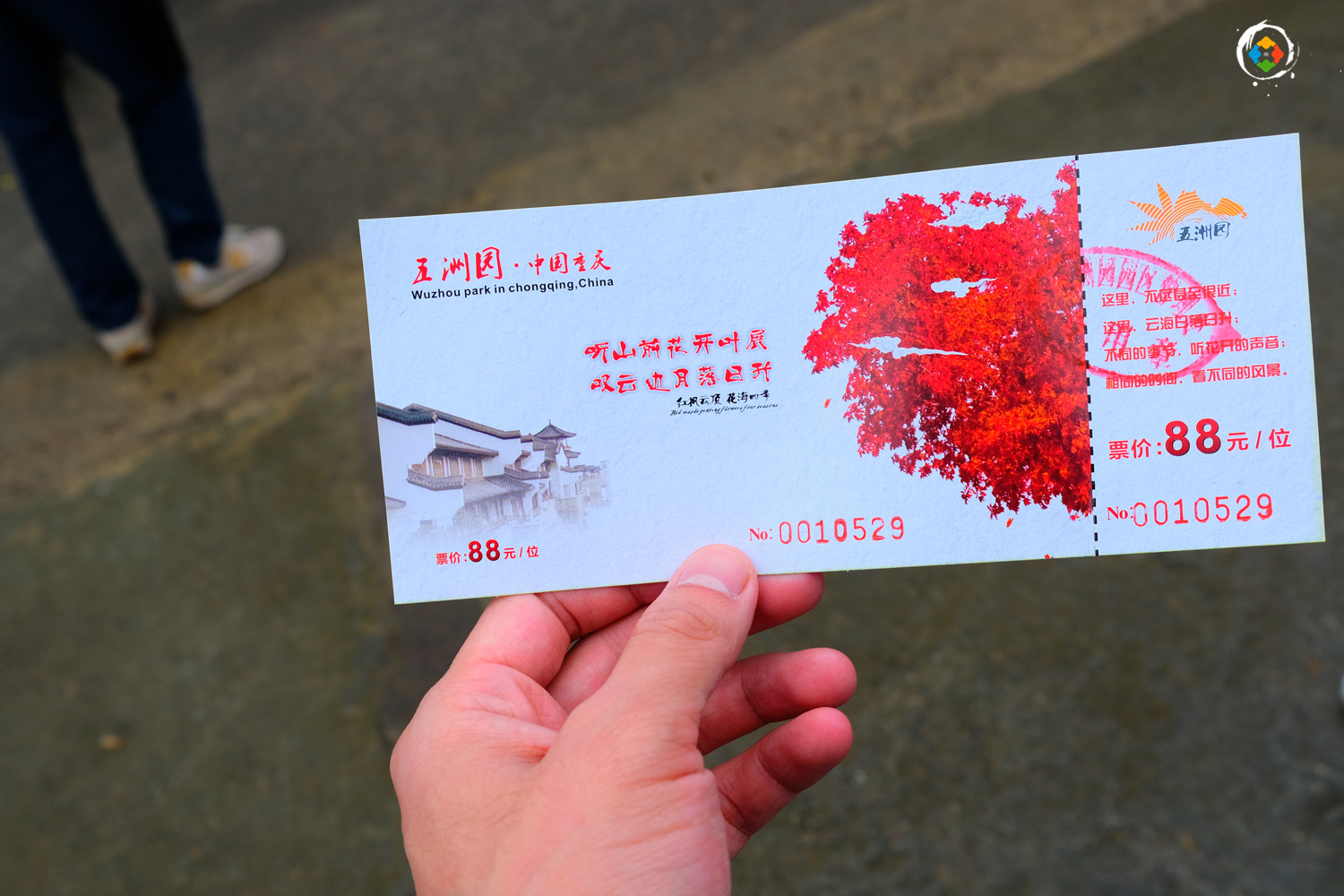 景区因造假被罚款5万元，重庆的“照骗”景点，你都去过哪些？