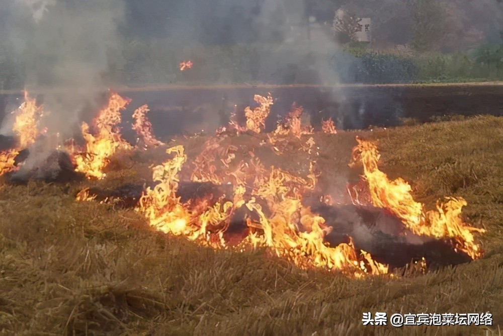 “防”字当头，宜宾防火令“升级”！今年有些不一样