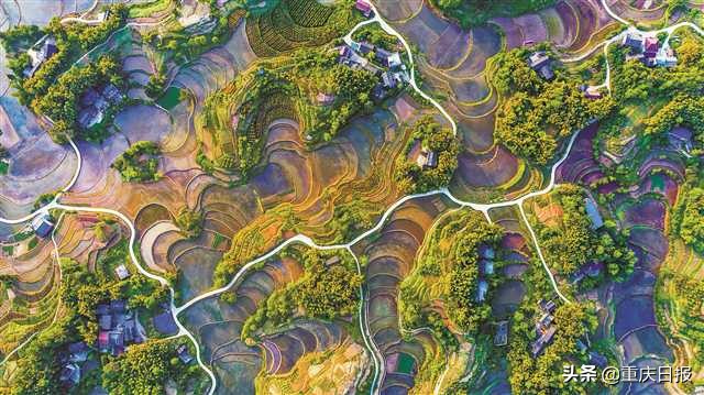 “四好农村路”让游客进村山货进城