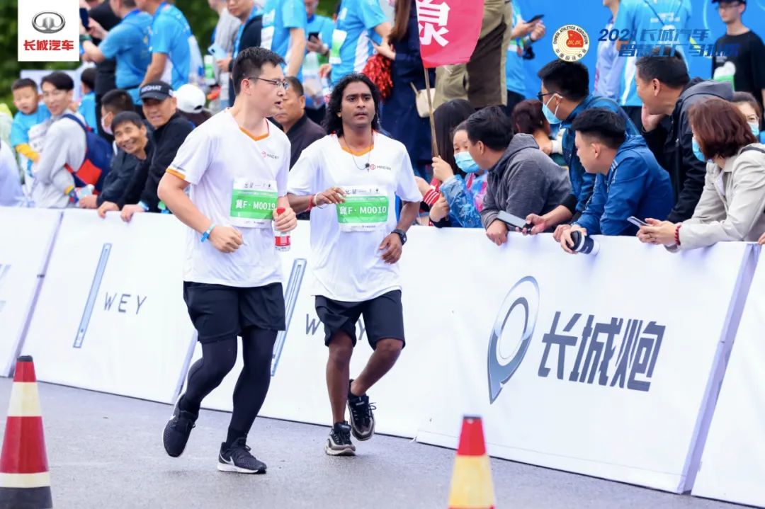 大河报汽车网