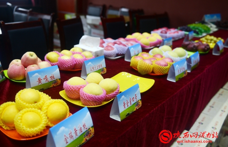 豐收合陽•最美秋色 合陽召開扶貧農(nóng)產(chǎn)品產(chǎn)銷對(duì)接會(huì)（組圖）