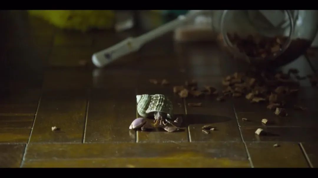 网飞新韩剧，拍出青春残酷的一面：关于校园霸