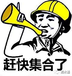 木材到底涨成啥样了？带你直击价格市场