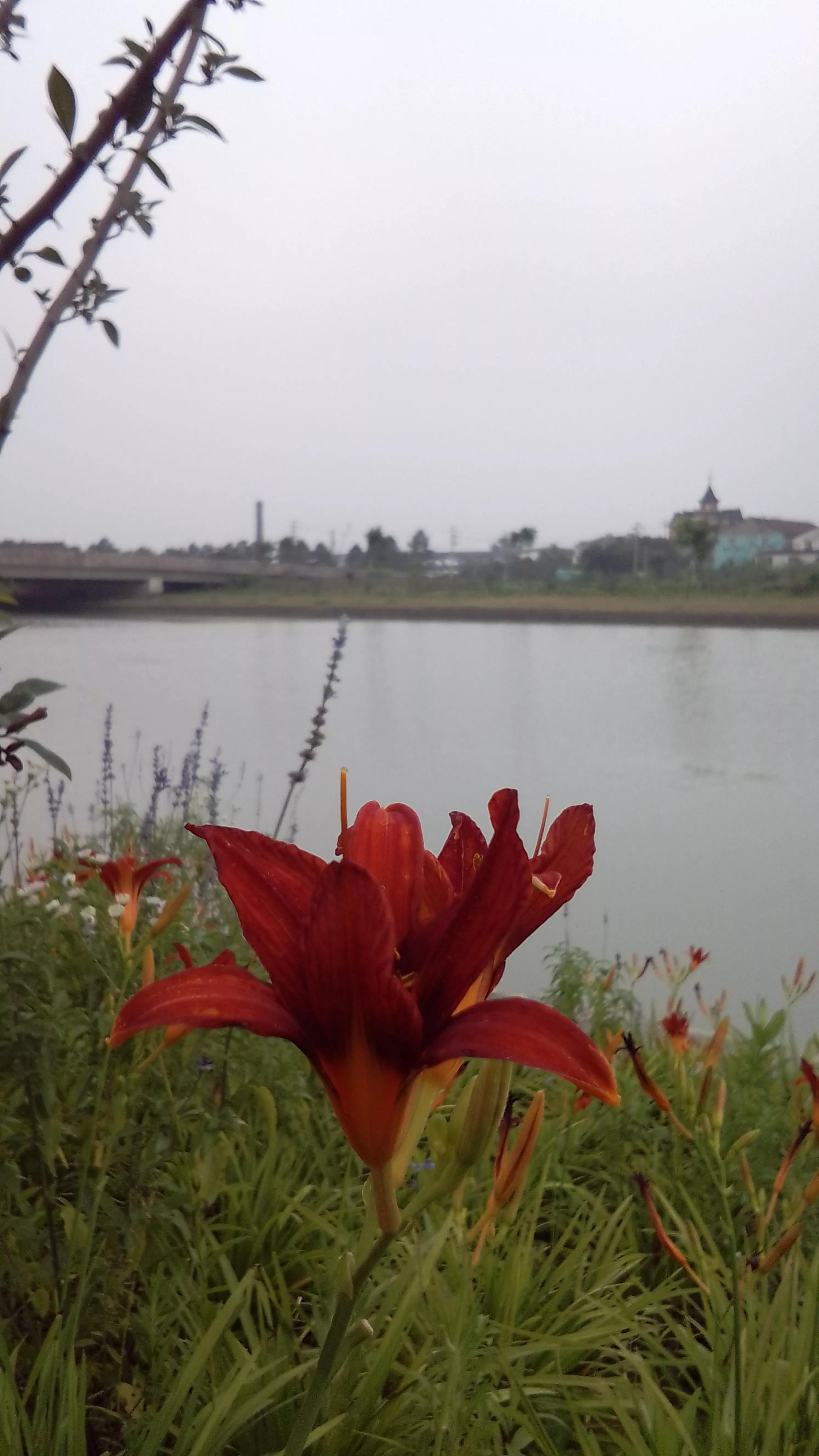 梅雨 之思 资讯咖