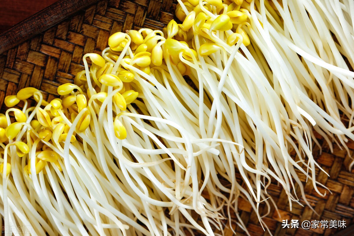 What is the difference between soybean sprouts and mung bean sprouts
