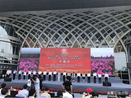 2020年国际亳州中医药博览会暨第36届全国亳州中药材交易会