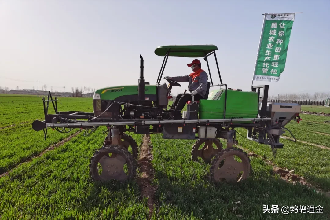 80后不想种地，90后不懂种地，00后不问种地..谁来