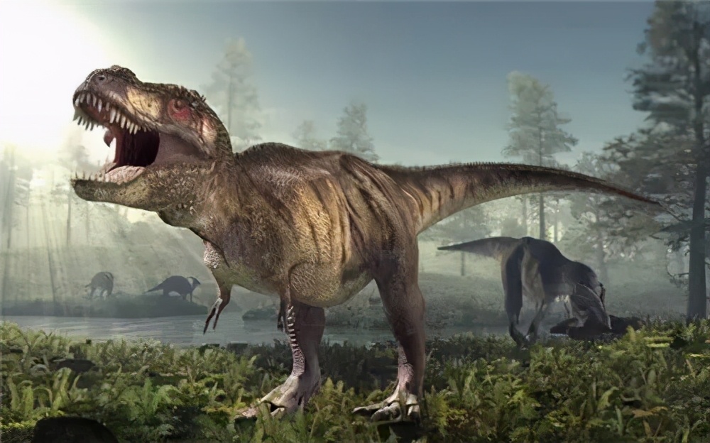 恐龙家族中的王者霸王龙，有一对非常尴尬的前肢，它有什么用？