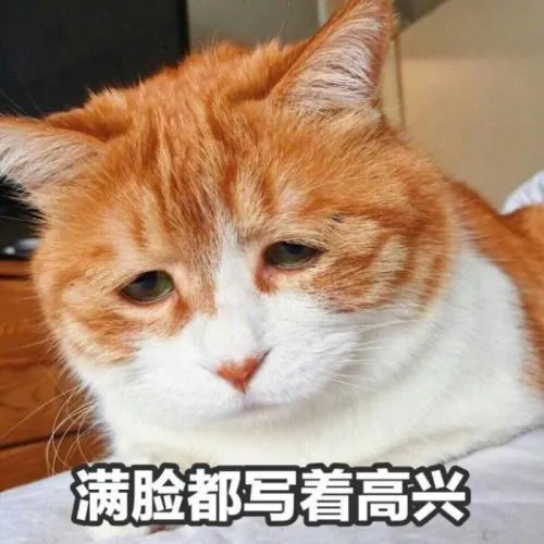 比股市猛 比楼市强！不到1年飙涨30%
