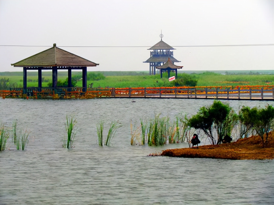 山东旅游：探寻黄河流入大海记（图）