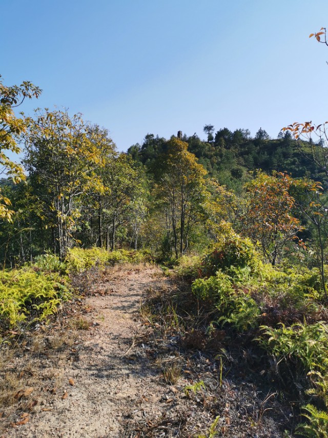 这个难忘的新年，我在客都梅州度过