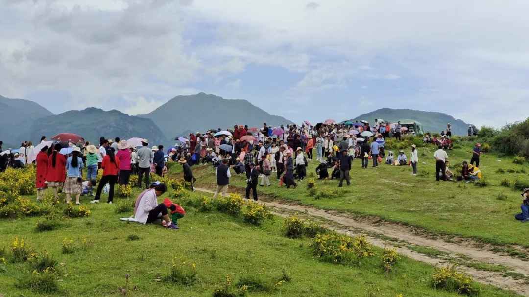 香溢乾坤蝶自来——乡村旅游成为乡村振兴新引擎