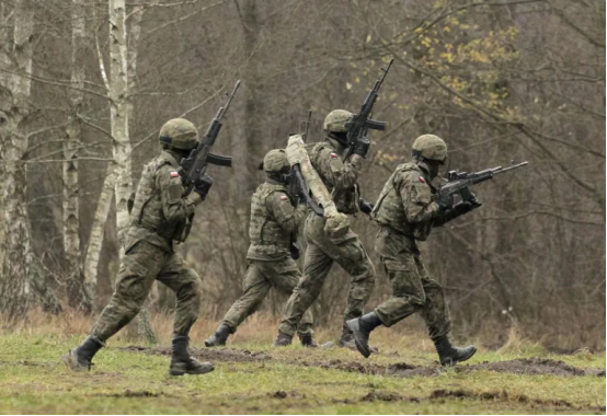 打起來了！美國波蘭兩國軍演變斗毆，多名波蘭軍人被錘爆