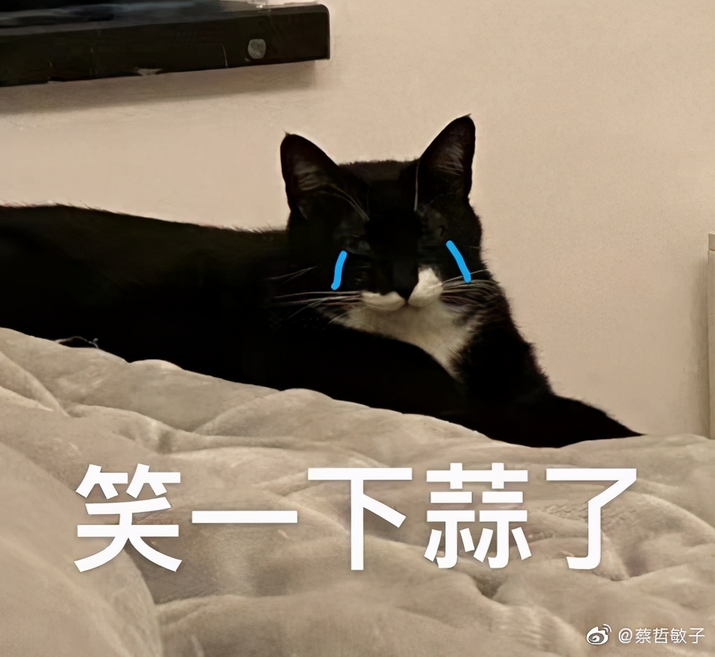 我家猫搓jio搓上瘾 就连医生也没辙了 猫与爱的世界 Mdeditor