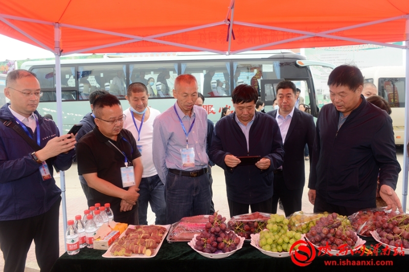 2020年全國葡萄產(chǎn)業(yè)發(fā)展學(xué)術(shù)研討會在合陽舉辦(組圖)
