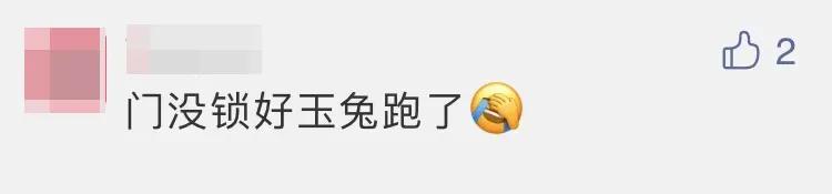 热议-嫦娥五号着陆瞬间:小动物抢镜,预示着什么、到底是玉兔还是沙狐
