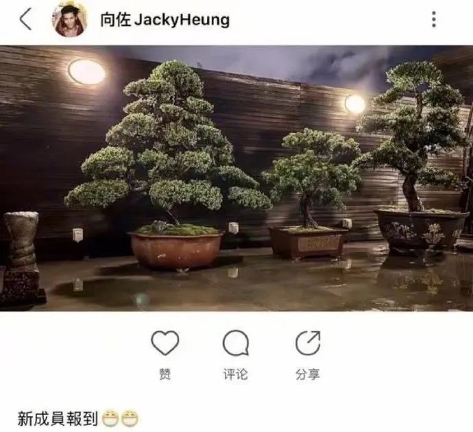 向太疑否认儿媳怀孕，郭碧婷被公开催生配合炒作，套路学何猷君？