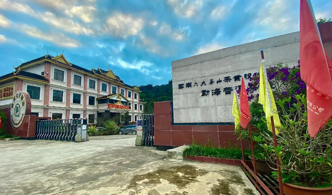 抢占先机 | 六大茶山国内空白市场诚邀代理火热开启