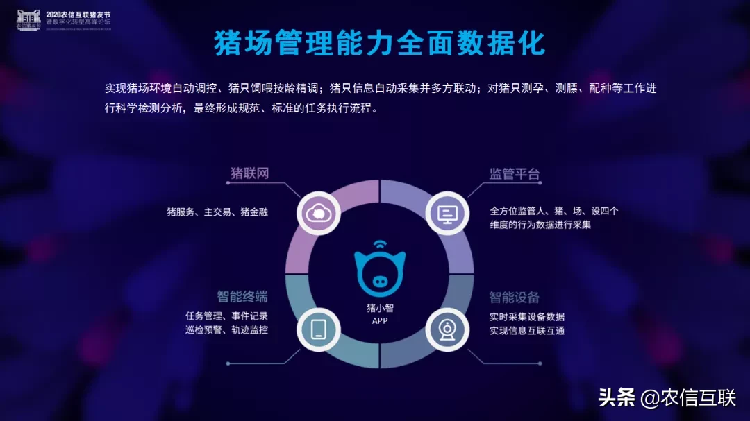 农信智联事业部总经理薛素金：农信如何助力生