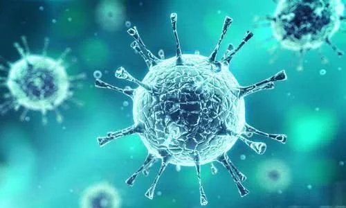 拜登正式摊牌了：若当选总统，绝不会赦免特朗普