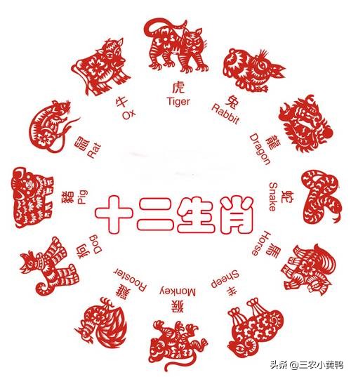 2021 it is Xin Chou's widow year, "A gleam of of flocks and herds is pulled, person money both ends is empty " , what meaning? 