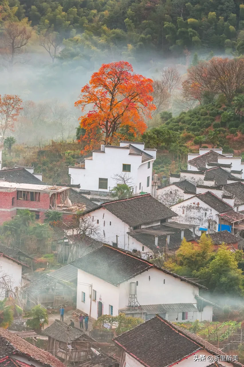 10 ancient towns with beautiful autumn colors, if you are tired, go to stay for a few days