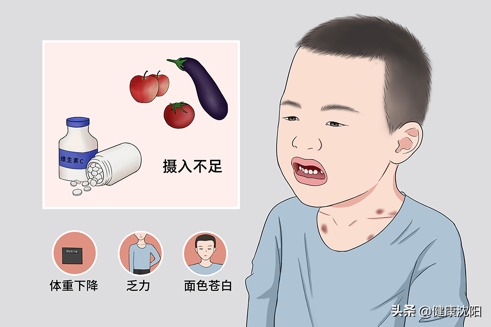 健康知识普及行动系列科普知识讲座之合理膳食篇