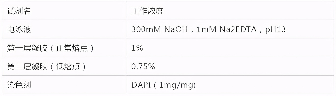 为什么你的彗星没有尾巴？