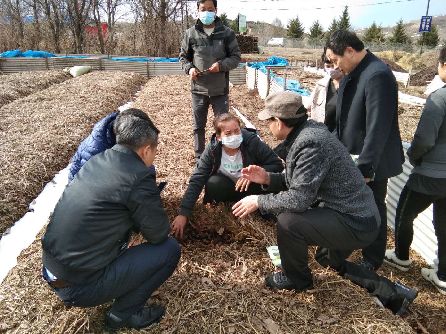 靖宇县大北山村扶贫产业全覆盖