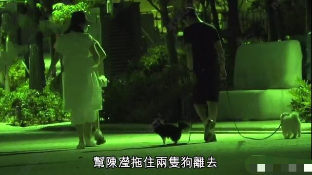 赌王的“多情”，终于后继有人了，甚至比起赌王还有过之而无不及