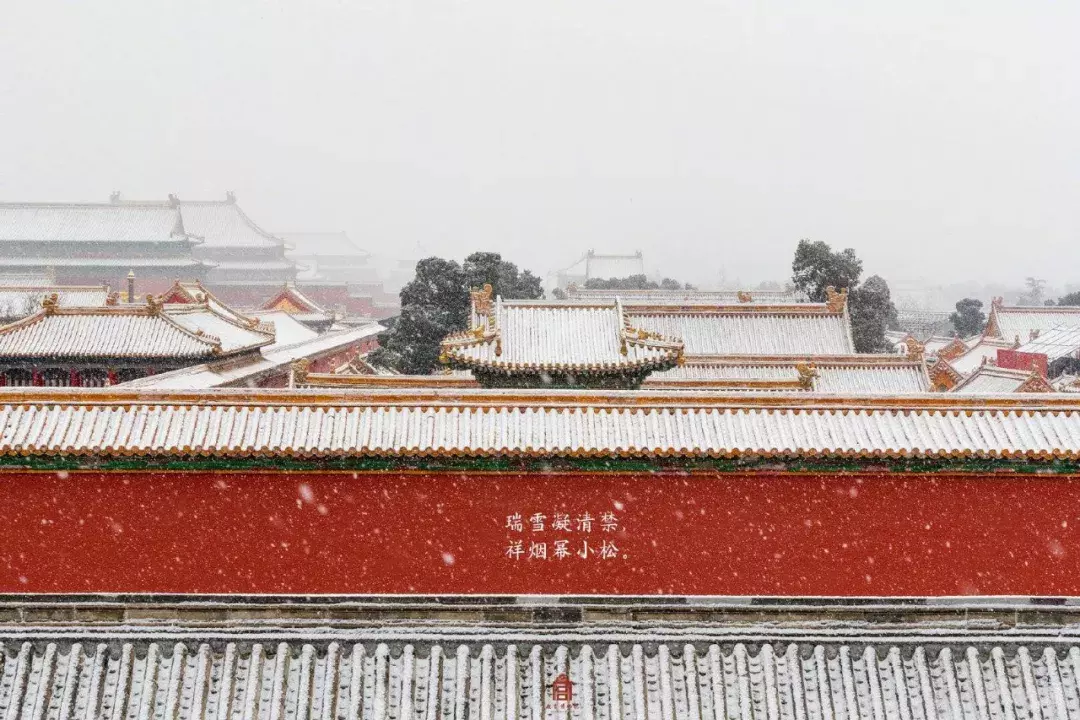 不用去看故宫的雪！钱塘江畔的冰雪霸屏了……美翻了整个江南！