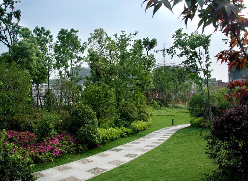 美卫星拍下一张照片，罕见承认：中国在环境保护中功不可没