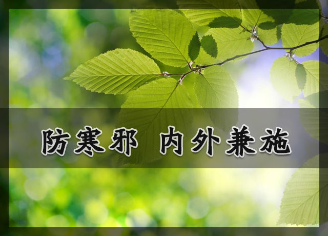 中医所说的