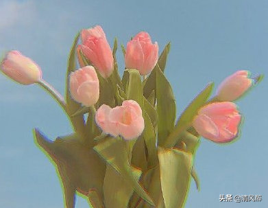 抖音吸引人点赞关注的句子 抖音最拽最火的文案图片