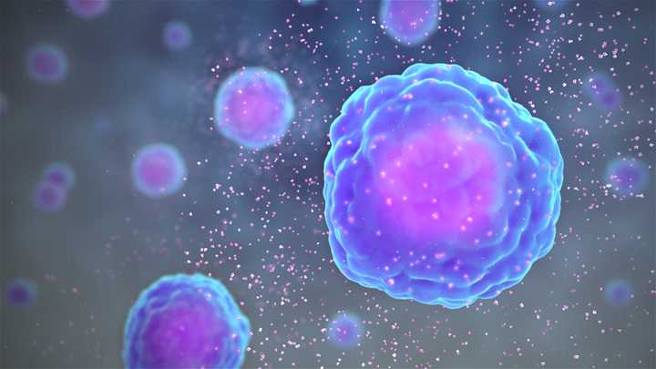 英国科学家培育出“百毒不侵”生命体，不会感染病毒，生长得还快