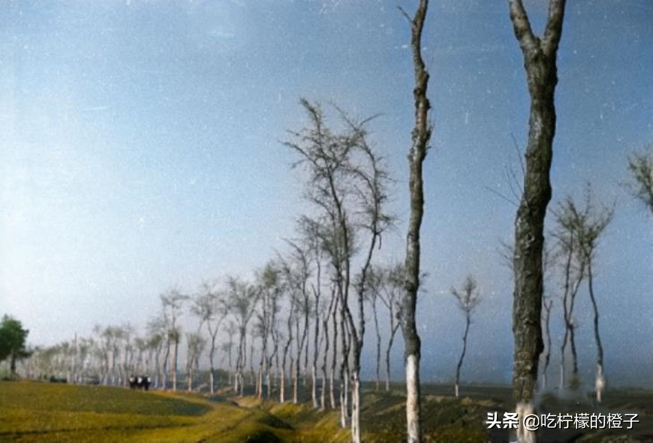 老照片：美國人鏡頭下1943年的河南，餓殍遍野，哀民生之多艱