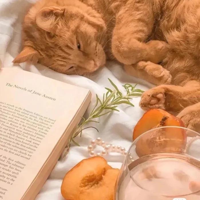 值得收藏的热搜短句文案「会过去的，会拥有的，会到来的。」