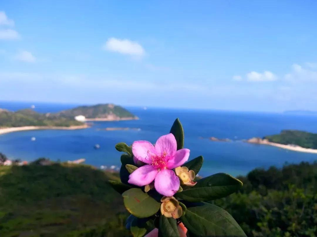 冬天看海的执念，就让温暖的深圳帮忙实现