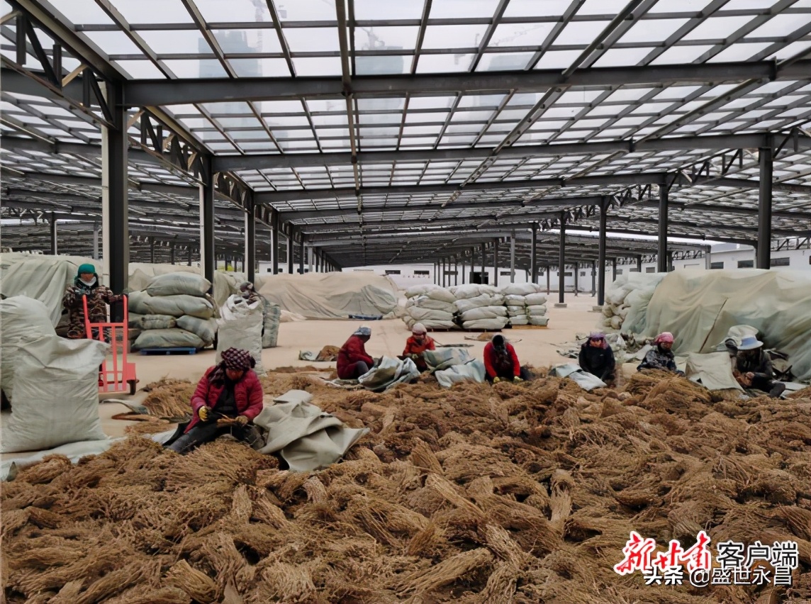 【全面建成小康社会“百城千县万村调研行”】陇西：开辟中医药产业发展新天地