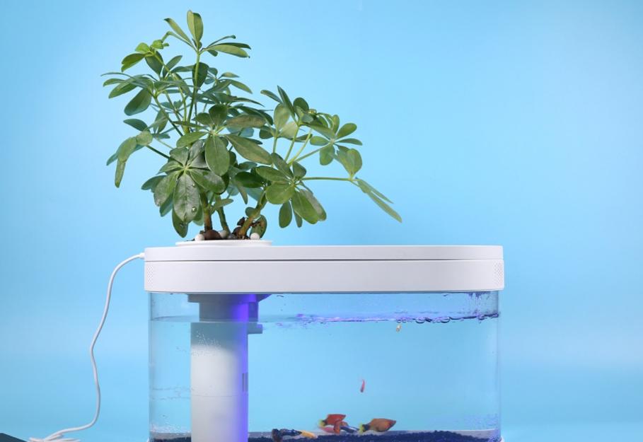 The benefits of zeolite used in fish tanks iNEWS