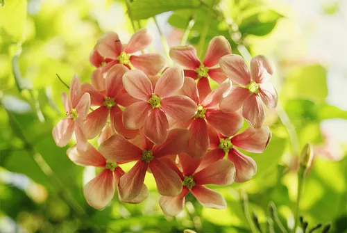 耐人寻味正能量句子：用微笑告诉别人，今日的我，比昨日更强