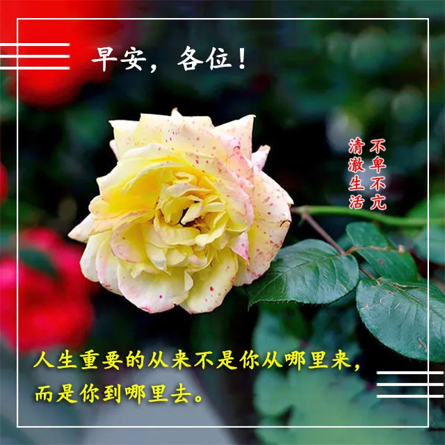 2021年关于早上好的最新图片 早安问候语致自己图片