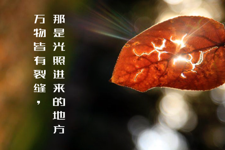 就算是被给予的人生也有主动选择的希望