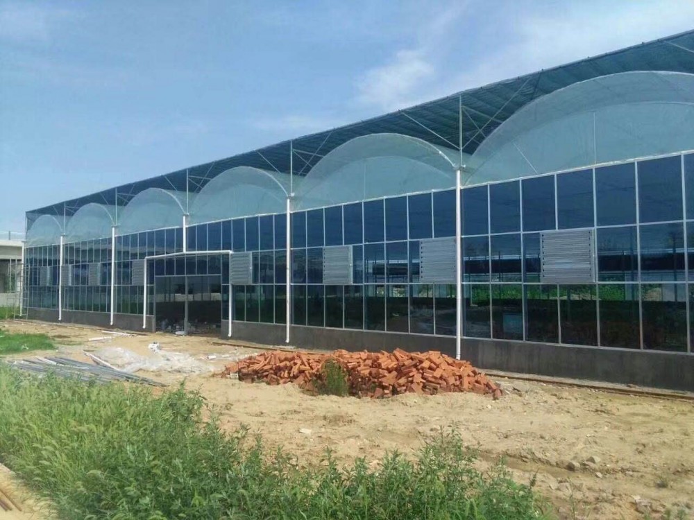 计划做现代设施农业要了解的几种温室大棚样式
